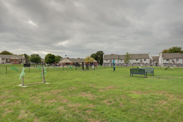 Avery Point - Dog Park